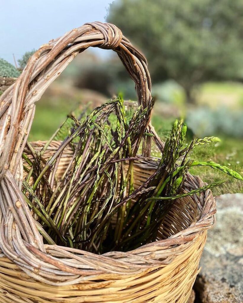 asparagi-selvatici-ricette